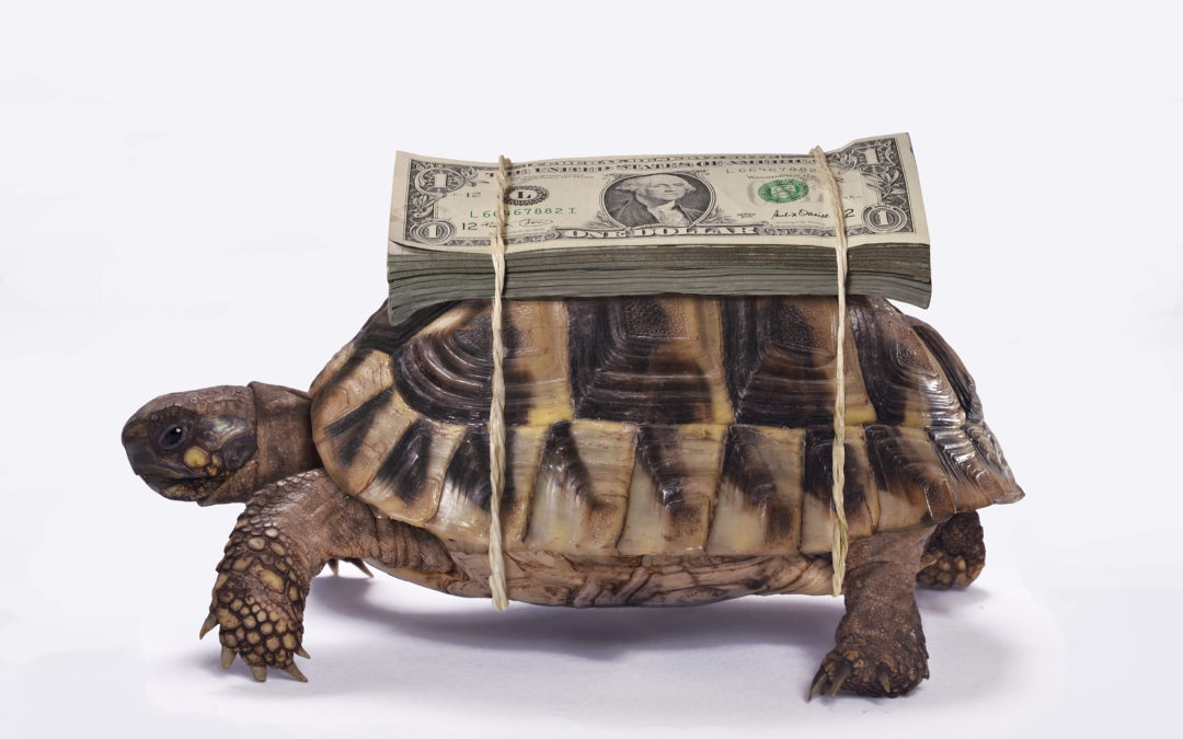 Slow money by Charlene Pedrolie