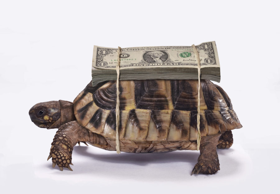 Slow Money Is A Call To Action - Ssgc Holdings - By Charlene Pedrolie