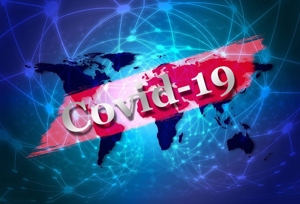 charlene pedrolie article, private equity and covid-19